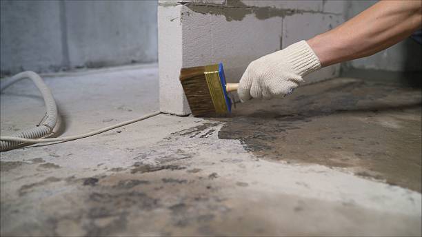 Top rated local Crawl Space Encapsulation specialists in Paducah, TX